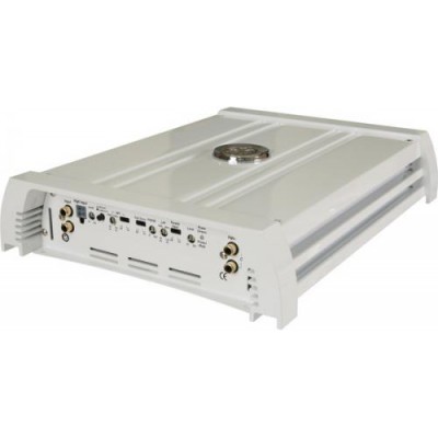 DLS MRA 31